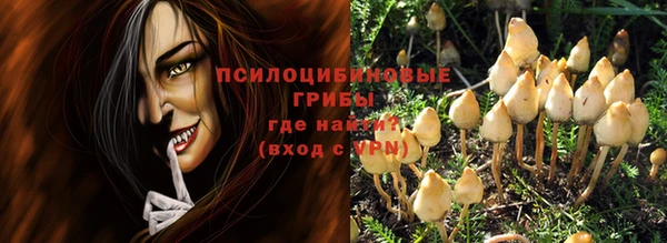 дмт Баксан