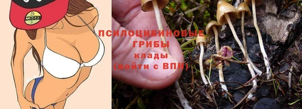 а пвп мука Балабаново